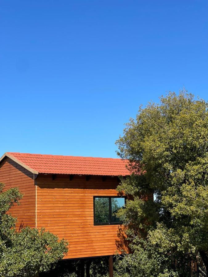 Ajloun Wooden Huts اكواخ عجلون الخشبية Live Amid Nature Umm al Manabi Ngoại thất bức ảnh