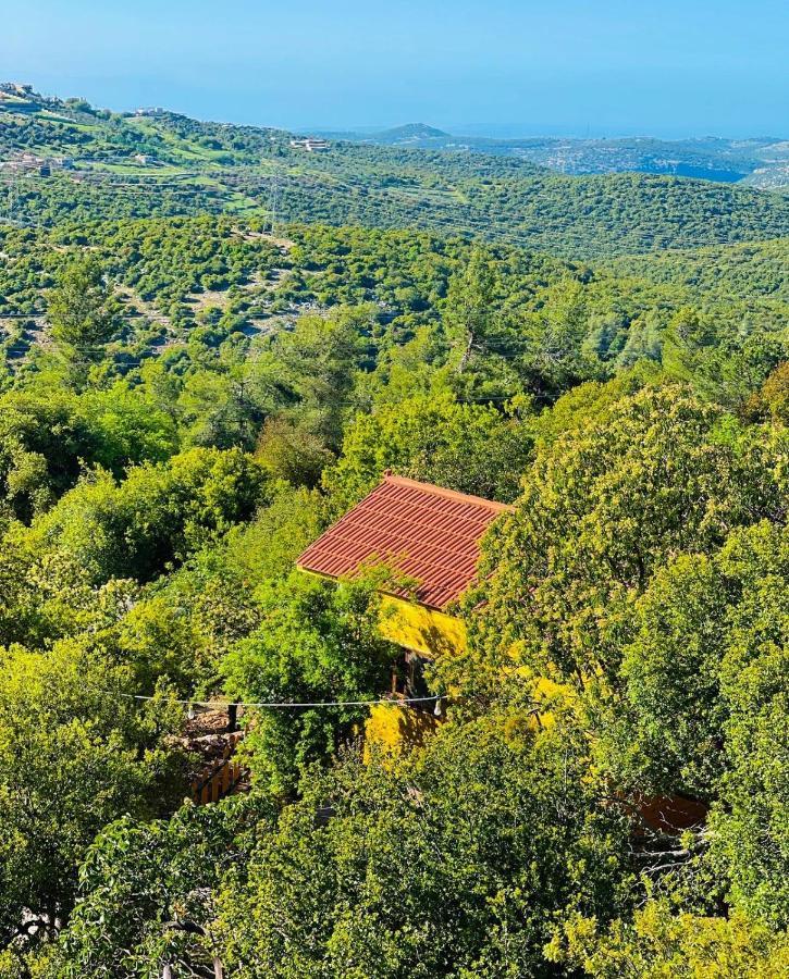 Ajloun Wooden Huts اكواخ عجلون الخشبية Live Amid Nature Umm al Manabi Ngoại thất bức ảnh